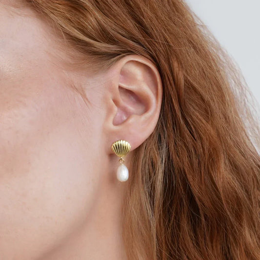 Guld Shell Perleøreringe